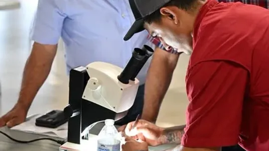 Local veterinarian says be vigilant against screwworm