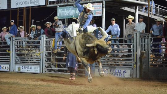 Memorial Day Rodeo another hit success