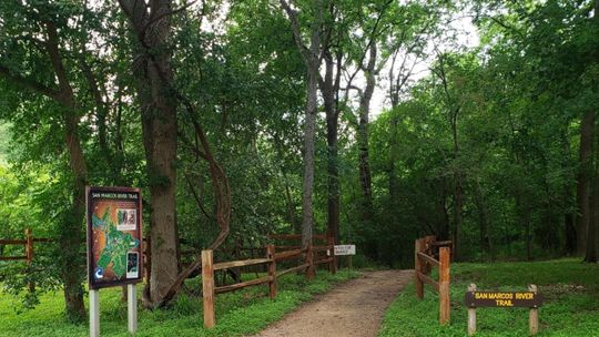Palmetto State Park: Mystery, Magic and Wonder