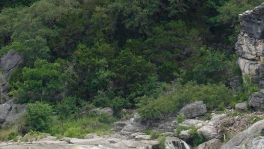 Pedernales Falls State Park: A Freezer Inspired Picnic