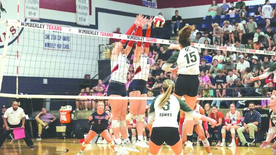 Texans Volleyball brings home both District, Bi-District championships