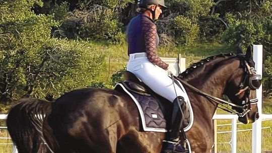 The Starlight Symphony with a side of dressage coming June 8