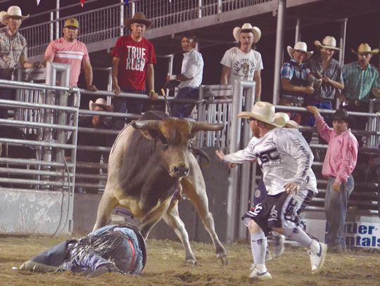 Bullfighters risk lives protecting bull riders