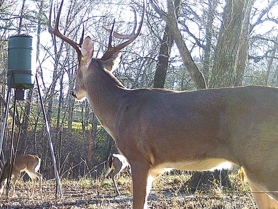 Early fall is a busy time: deer hunting archery and MLD seasons underway