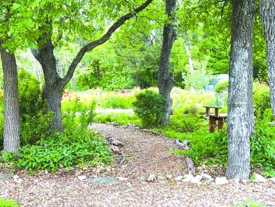 Garden Club Tour illuminates and inspires