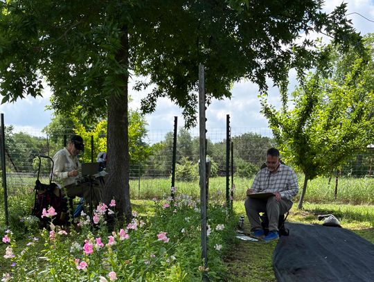 Garden Faire teaches in storybook setting