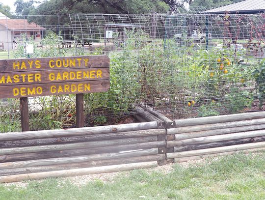 Hays County Master Gardeners to offer Fall training class