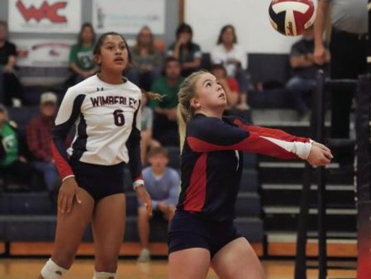 Lady Texan volleyball takes second in district