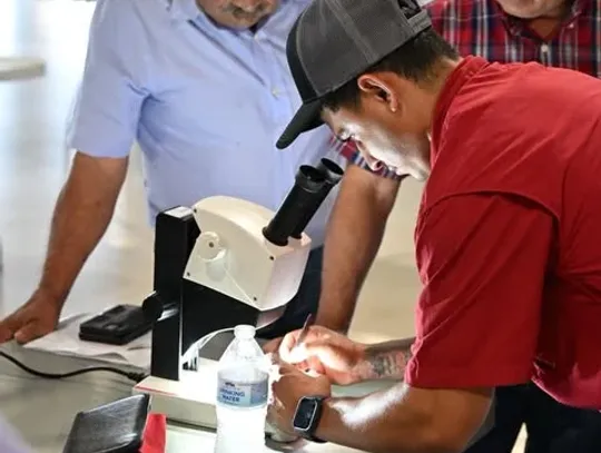 Local veterinarian says be vigilant against screwworm