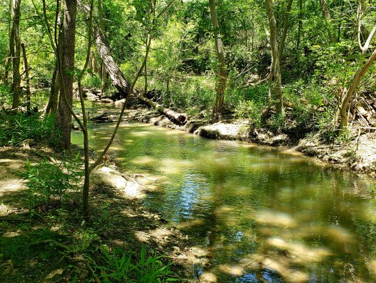 Lockhart State Park and A Semi-Homemade Picnic