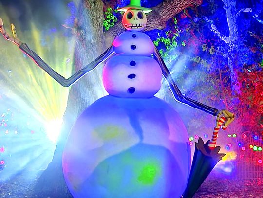 Nightmare Before Christmas Light Trail
