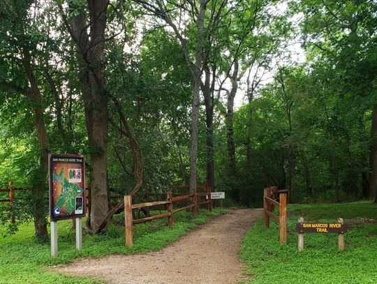 Palmetto State Park: Mystery, Magic and Wonder