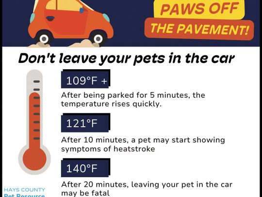 ‘Paws Off the Pavement’ keeps pet friends safe