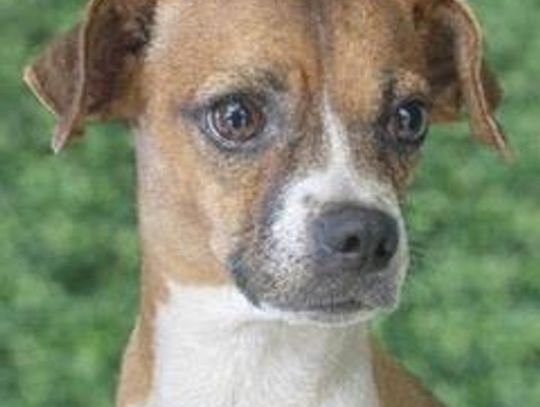 Image Rita.jpg (10274597)