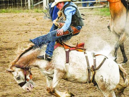 Rodeo returns for holiday weekend