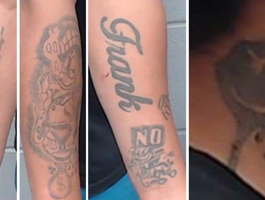 Sheriff’s Office Requests Public Assistance in Ongoing Sexual Assault Investigation