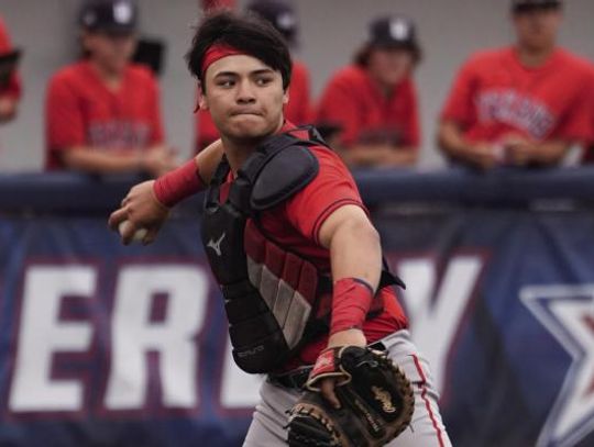 Texan baseball tripped up by Hawks