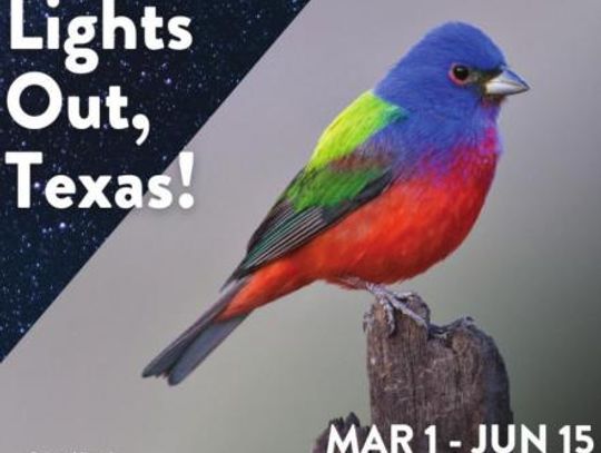 Wimberley proclamation puts birds in the dark