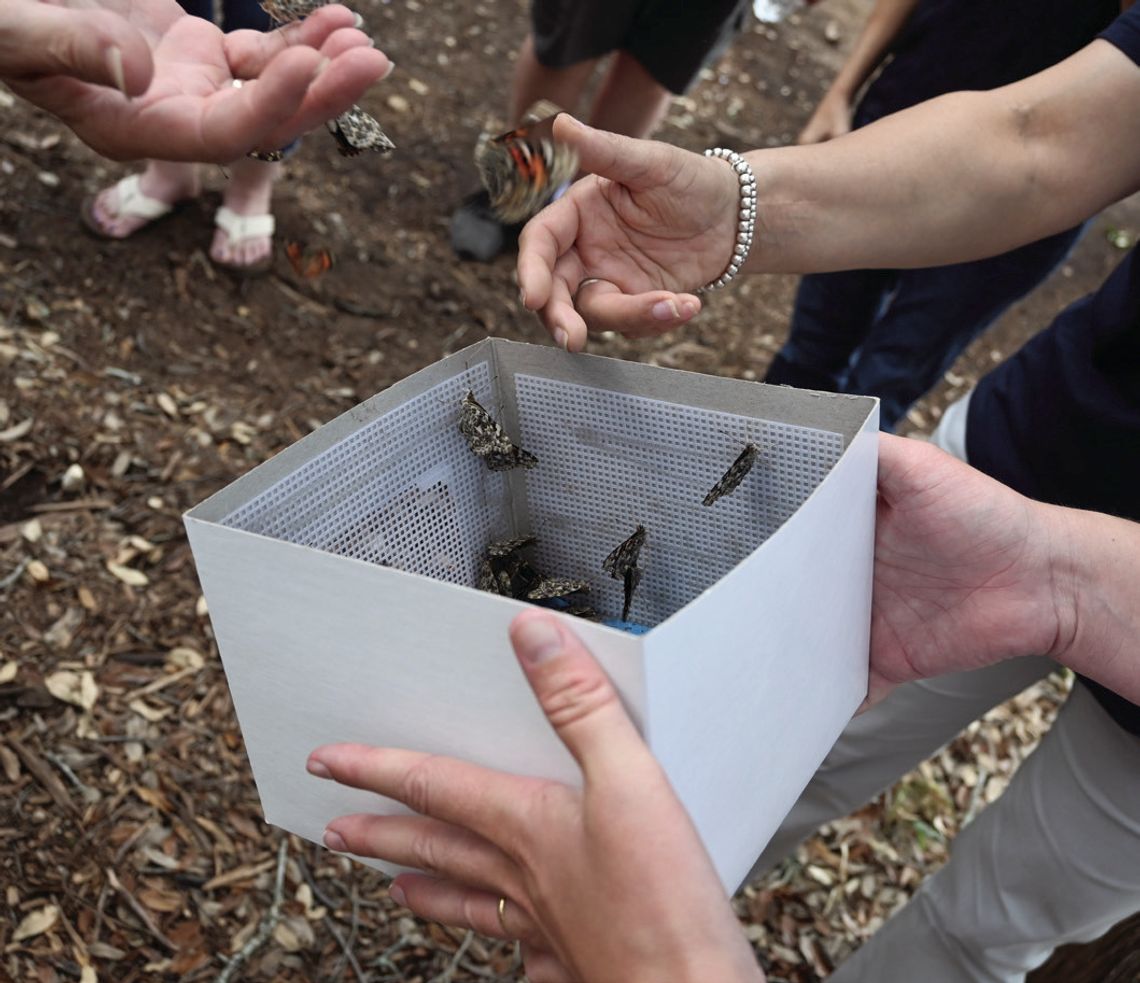 Bluebonnet Palliative Care holds butterfly memorial service for family members