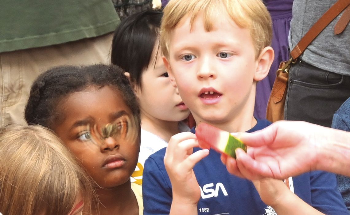 Butterfly Festival draws record crowds