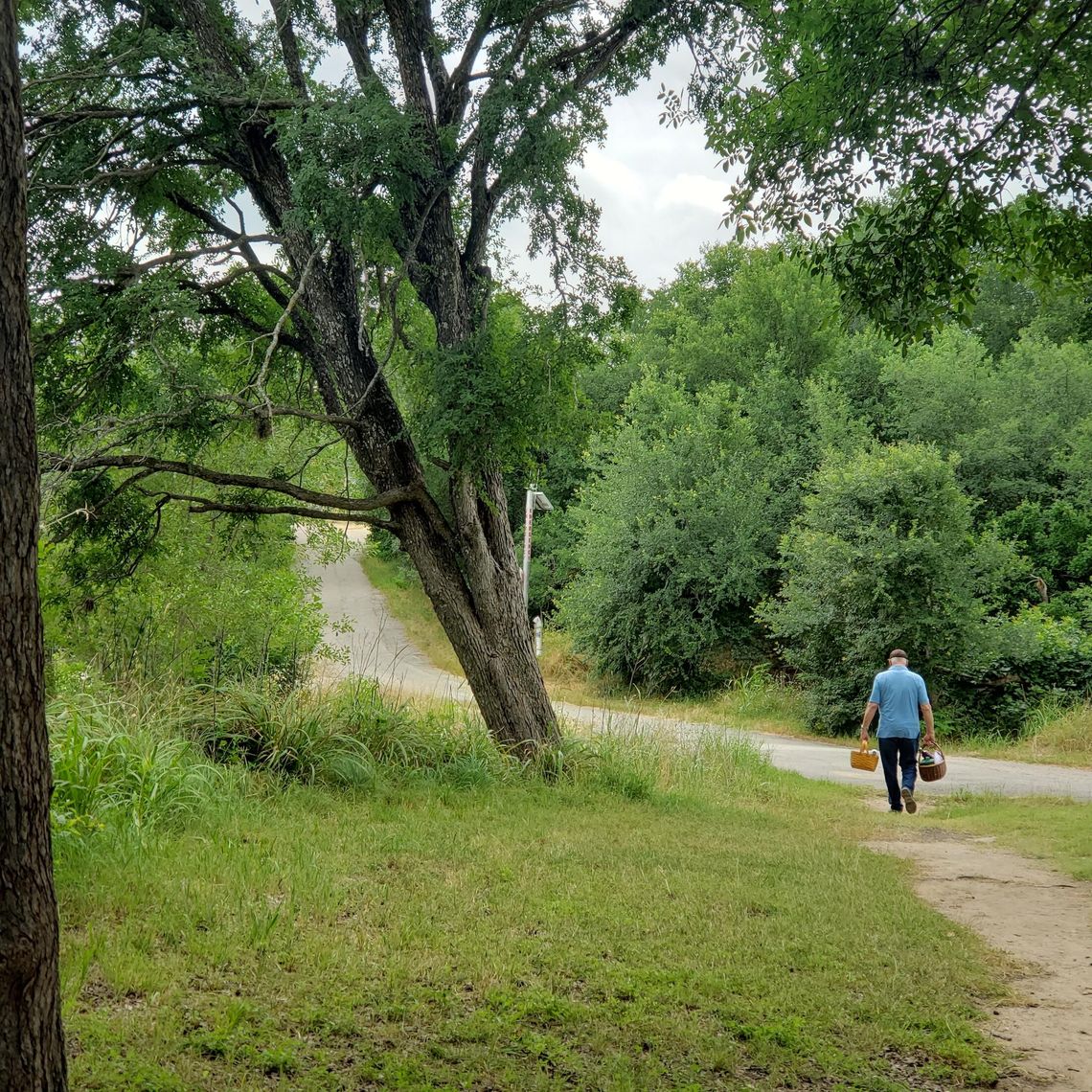 Charlotte’s Hill Country Picnics - Guadalupe and Gougère