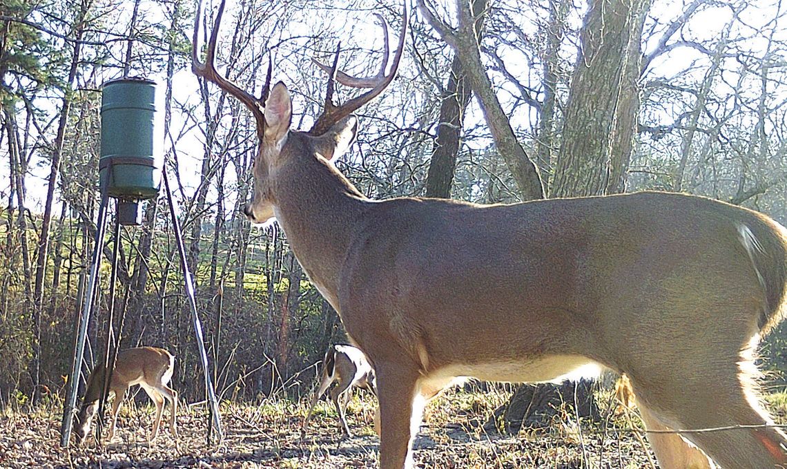 Early fall is a busy time: deer hunting archery and MLD seasons underway