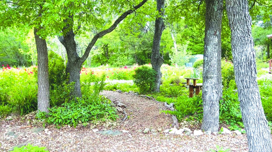 Garden Club Tour illuminates and inspires