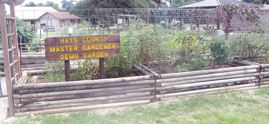 Hays County Master Gardeners to offer Fall training class