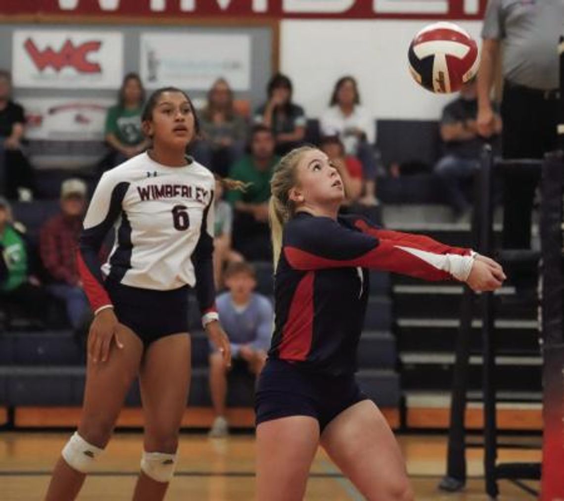 Lady Texan volleyball takes second in district