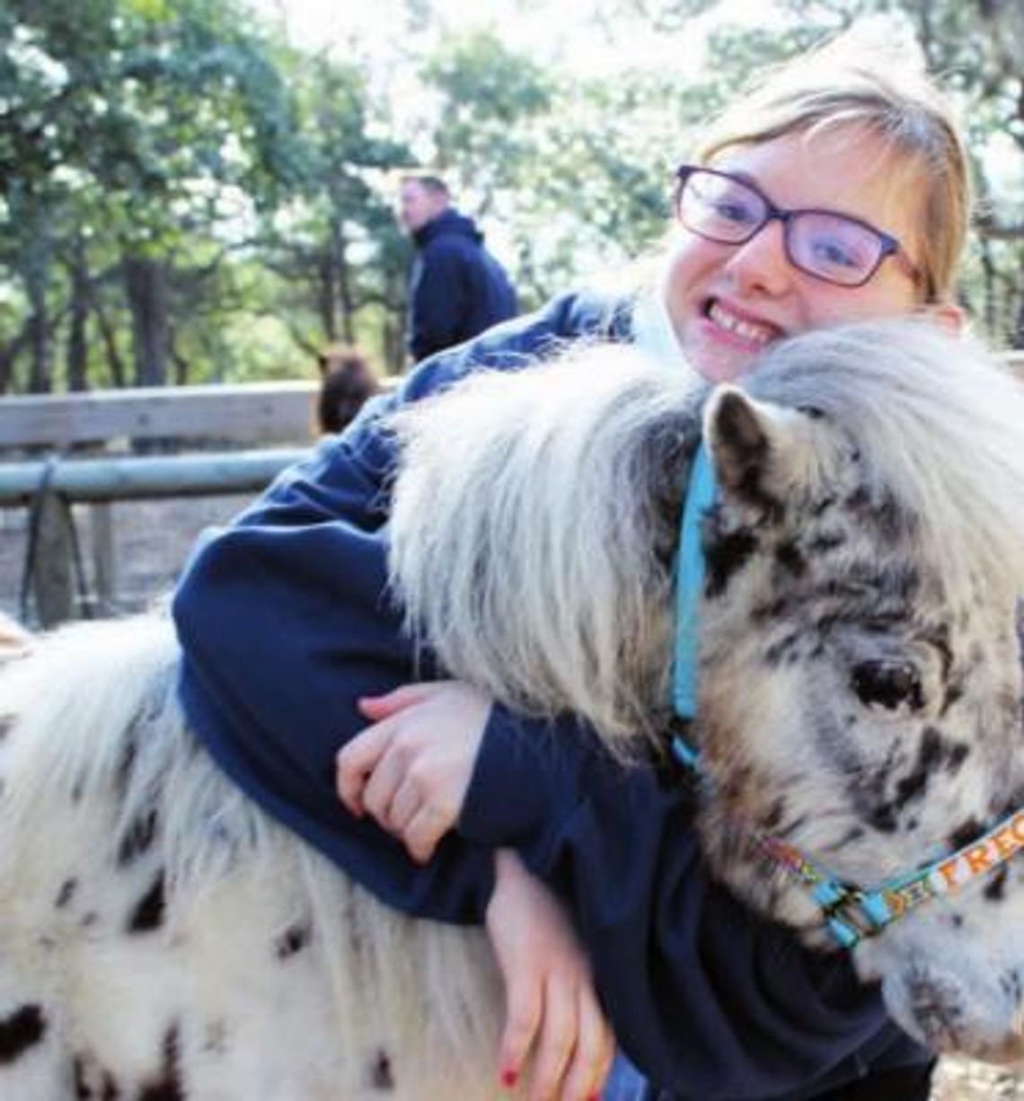 Mini horses BIG HUGS