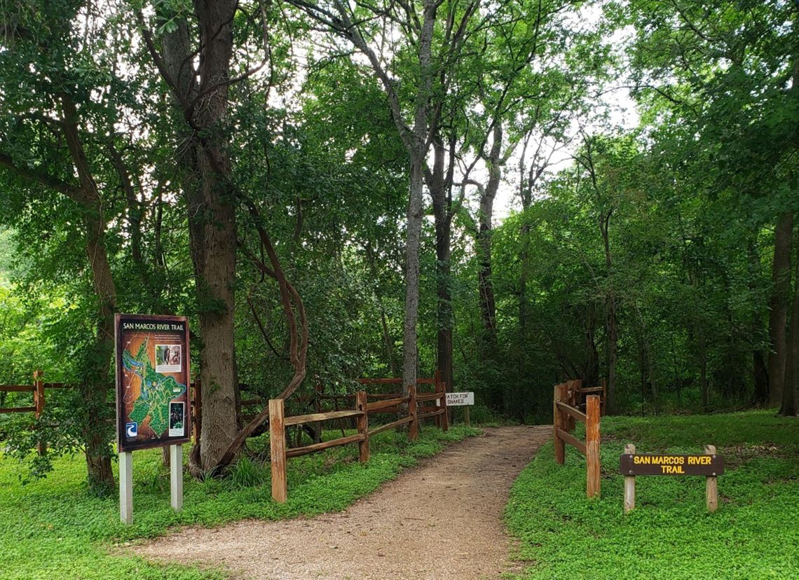 Palmetto State Park: Mystery, Magic and Wonder Palmetto State Park: Mystery, Magic and Wonder