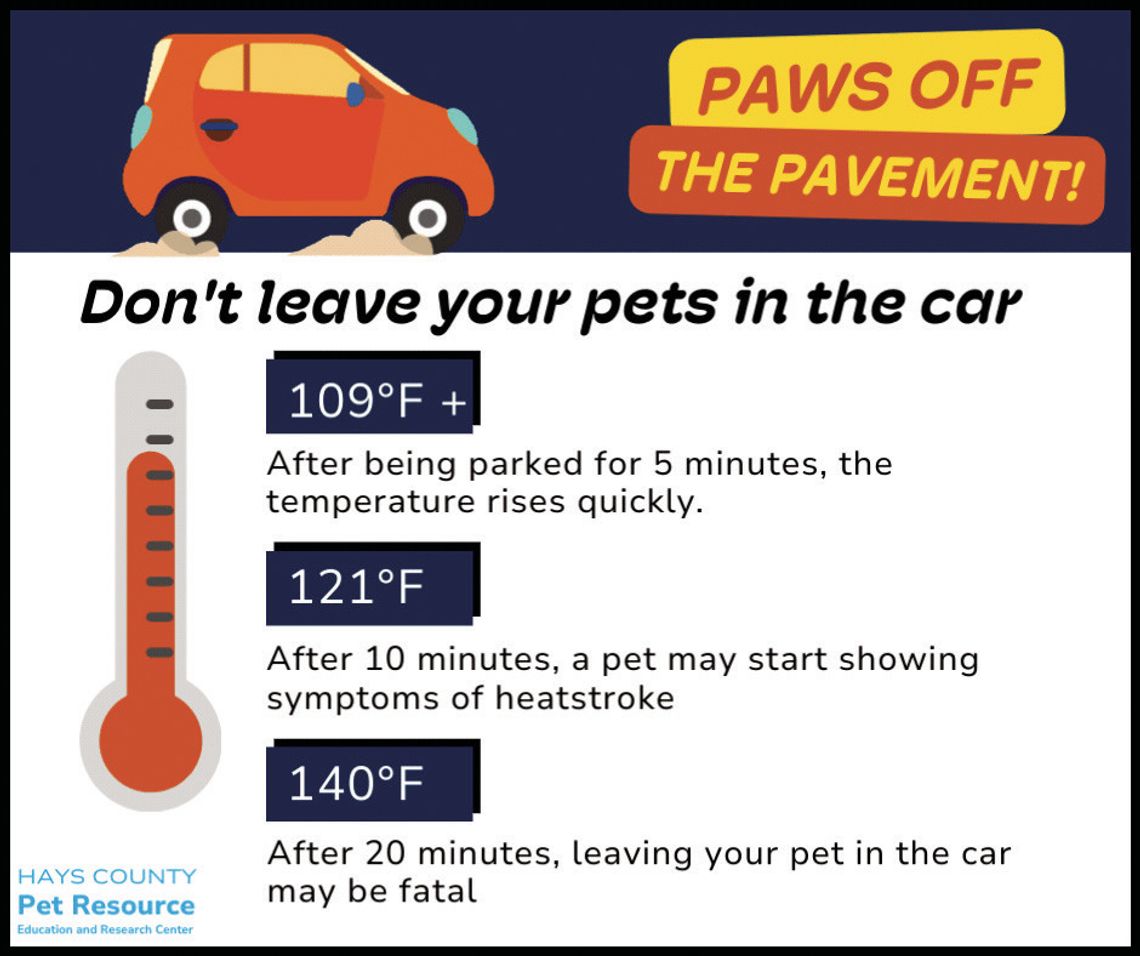 ‘Paws Off the Pavement’ keeps pet friends safe