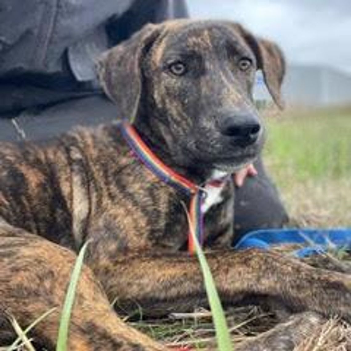 Image Tuesday.jpg (10030120)