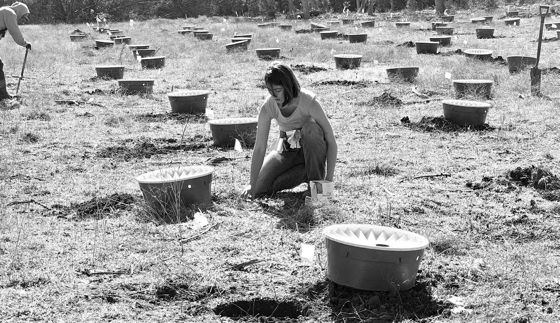 Reforesting Jacob’s Well with new tree technology