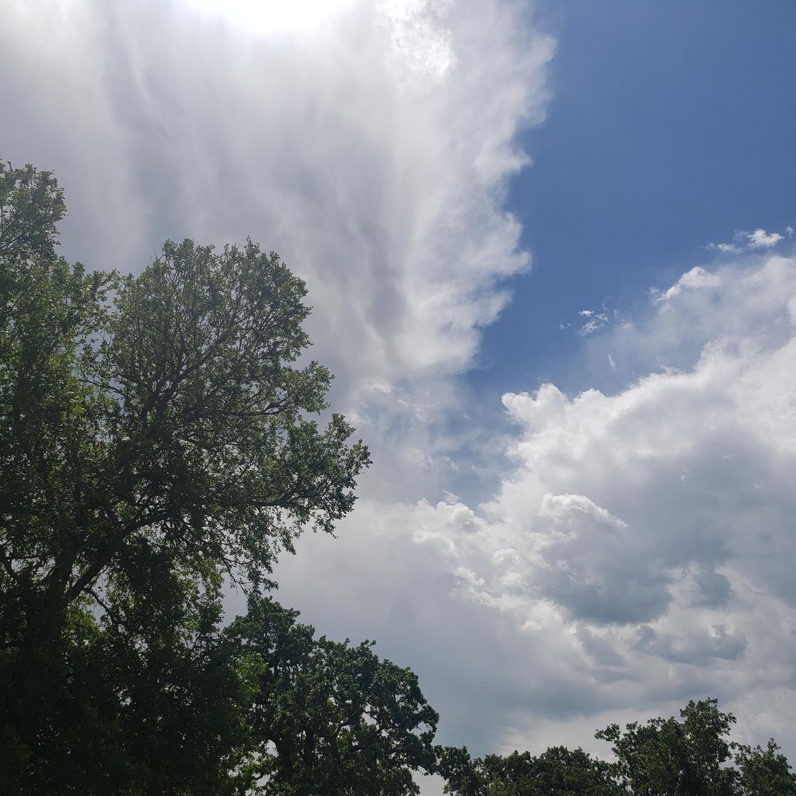 Somerville State Park: A Mini Family Reunion Picnic