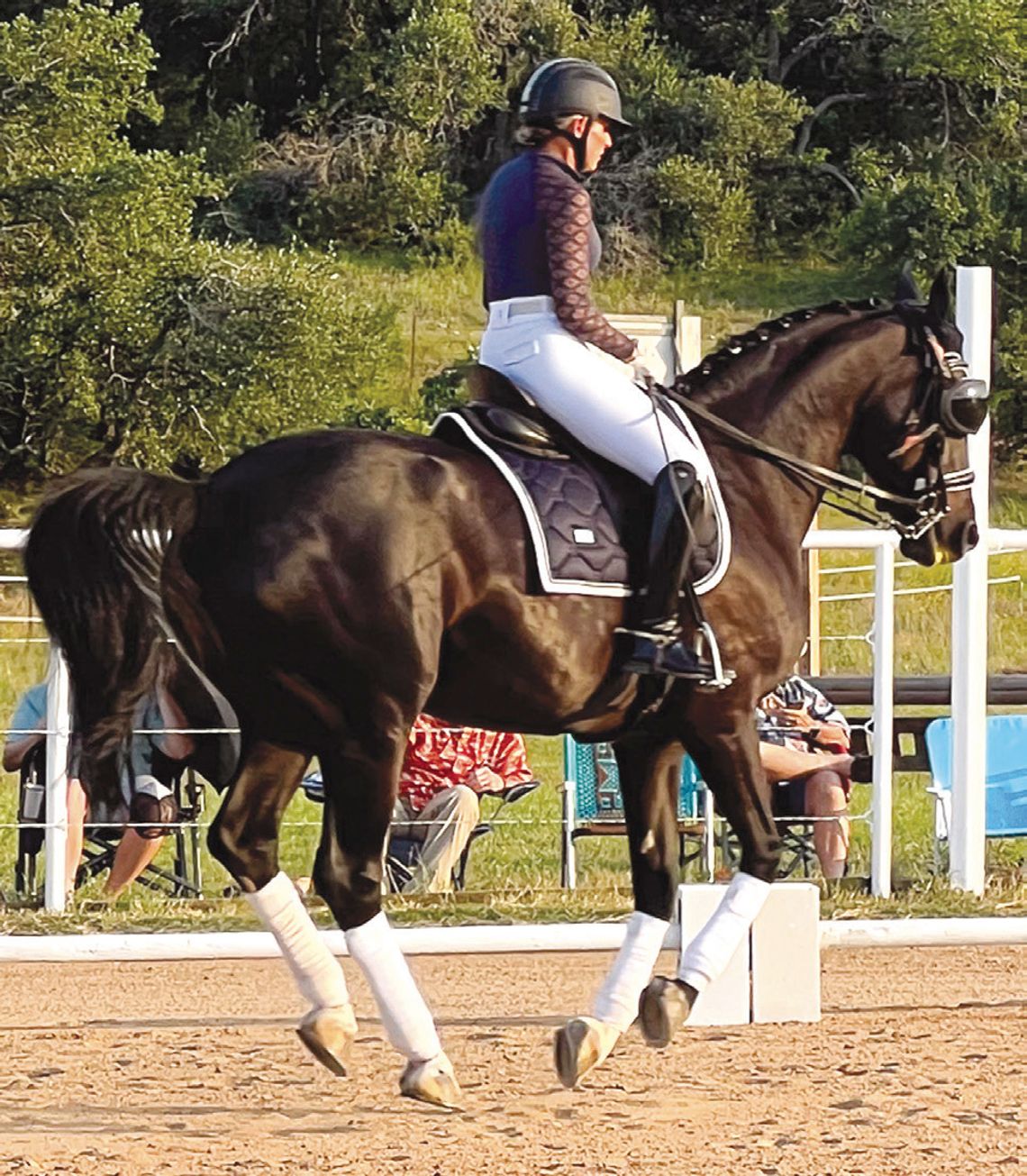 The Starlight Symphony with a side of dressage coming June 8