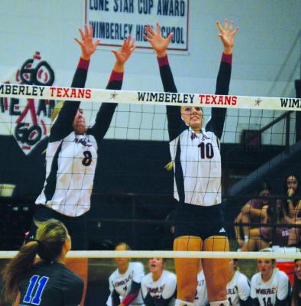 Volleyball falls to Davenport