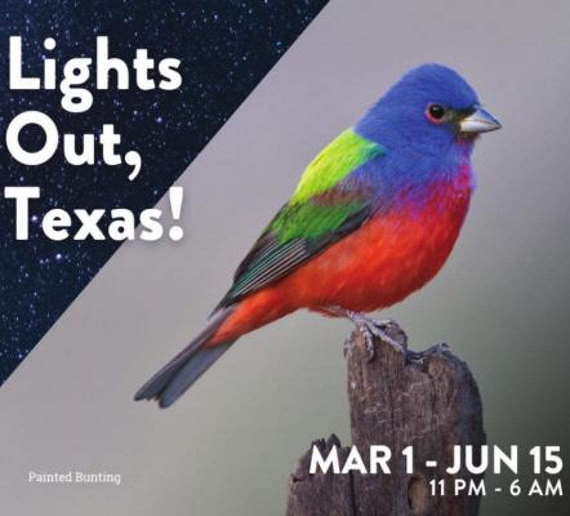 Wimberley proclamation puts birds in the dark