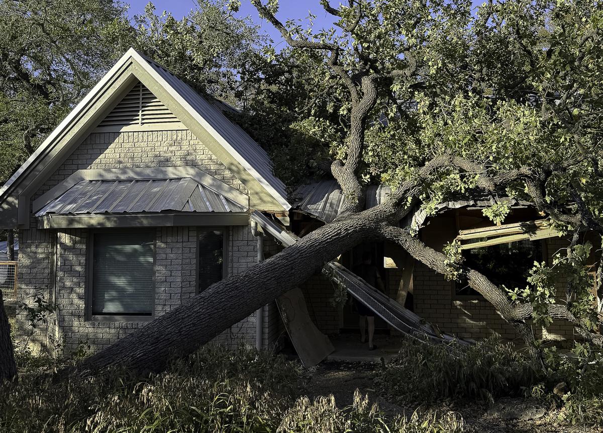 Submitted Photo Before and after photos of the damage caused by mature oaks i...