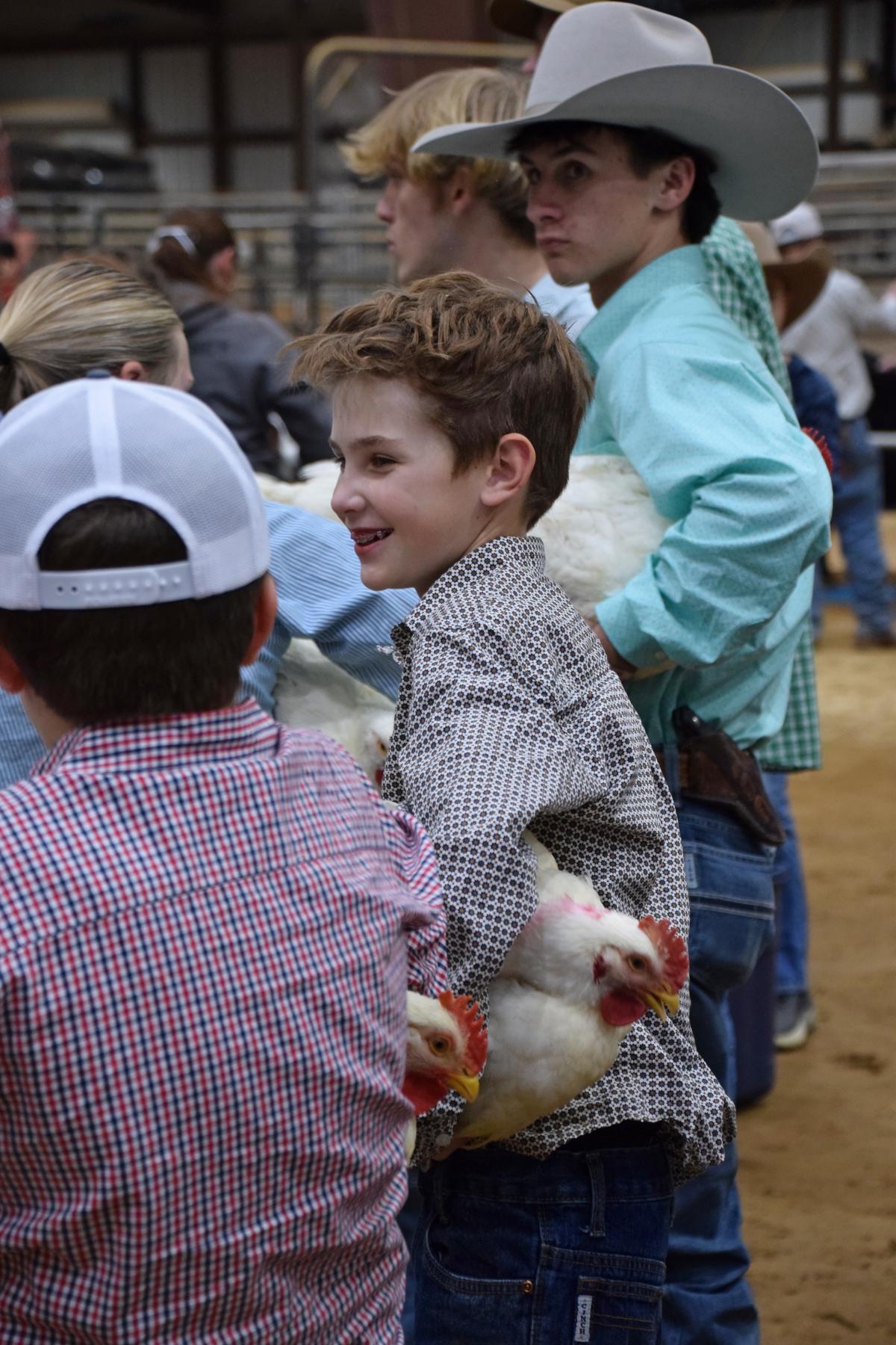 Competitors get ready for the poultry judging.