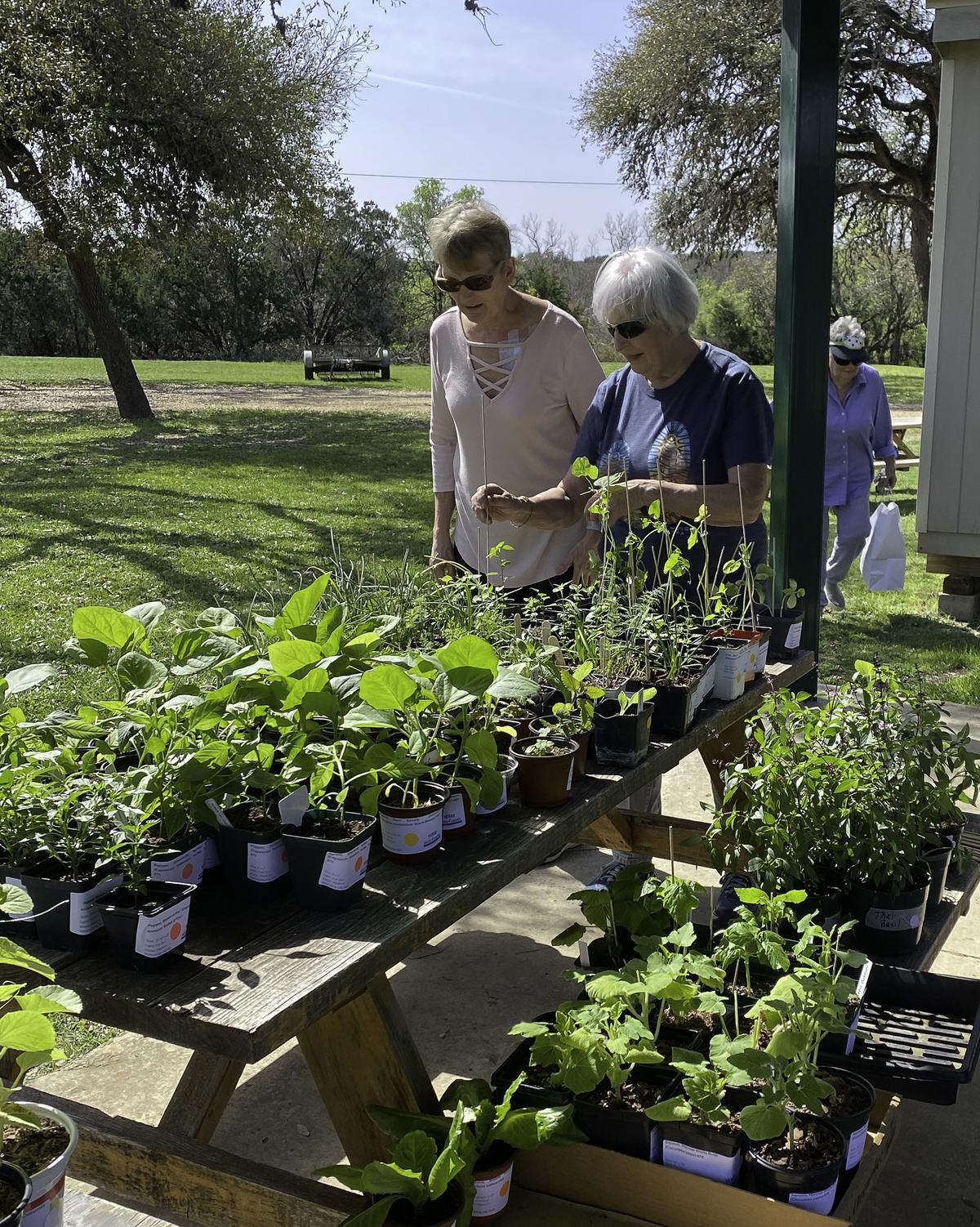 Taking the guesswork out of choosing which plants to select, the Plant Sale o...